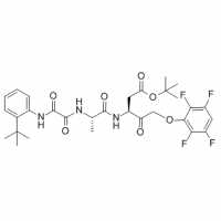 MC84663 Pentanoic acid, 3-[[(2S)-2-[[2-[[2-(1,1-dimethylethyl)phenyl]amino]-2-oxoacetyl]amino]-1-oxopropyl]amino]-4-oxo-5-(2,3,5,6-tetrafluorophenoxy)-, 1,1-dimethylethyl ester, (3S)- 254750-83-9 Pentanoic acid, 3-[[(2S)-2-[[2-[[2-(1,1-dimethylethyl)pheny