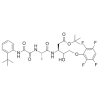 MC84662 D-glycero-Pentonic acid, 2,3-dideoxy-3-[[N-[2-(1,1-dimethylethyl)phenyl]-2-oxoglycyl-L-alanyl]amino]-5-O-(2,3,5,6-tetrafluorophenyl)-, 1,1-dimethylethyl ester, (4ξ)- (9CI) 254750-82-8 D-glycero-Pentonic acid, 2,3-dideoxy-3-[[N-[2-(1,1-dimethylethy