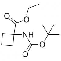 MC83768 Cyclobutanecarboxylic acid, 1-[[(1,1-dimethylethoxy)carbonyl]amino]-, ethyl ester 163554-54-9 Cyclobutanecarboxylic acid, 1-[[(1,1-dimethylethoxy)carbonyl]amino]-, ethyl ester