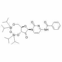 MC82278 Cytidine, N-benzoyl-2^-deoxy-2^-oxo-3^,5^-O-[1,1,3,3-tetrakis(1-methylethyl)-1,3-disiloxanediyl]- 119411-03-9 Cytidine, N-benzoyl-2^-deoxy-2^-oxo-3^,5^-O-[1,1,3,3-tetrakis(1-methylethyl)-1,3-disiloxanediyl]-