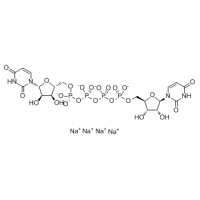 MC84392 Diquafosol (tetrasodium) 211427-08-6 Diquafosol (tetrasodium)