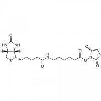 MCS0490 N-Succinimidyl 6-Biotinamidohexanoate  [72040-63-2]