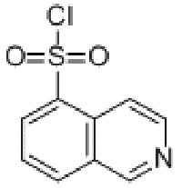 MC76916 ISOQUINOLINE-5-SULFONYL CHLORIDE 84468-15-5 异喹啉-5-磺酰氯