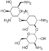 MC85470 Bekanamycin 4696-76-8 卡那霉素 B