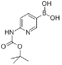 MC77737 2-BOC-AMINO PYRIDINE-5-BORONIC ACID 883231-20-7 6-BOC-氨基吡啶硼酸