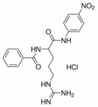 MC20171  Na-苯甲酰-DL-精氨酸-对硝基酰胺盐酸盐  [911-77-3]