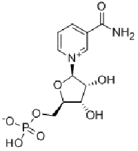 MC31451  β-烟酰胺单核苷酸  [1094-61-7]
