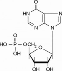 MC26119  I-5′-P IMP Inosinic Acid;IMP  [131-99-7]