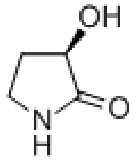 MC76354 (R)-3-Hydroxypyrrolidin-2-one 77510-50-0 (R)-3-羟基吡咯烷酮