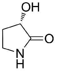 MC64653 (S)-3-Hydroxy-Pyrrolidin-2-One 34368-52-0 (S)-3-羟基-2-吡咯烷酮
