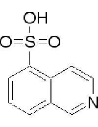 MC45399  异喹啉-5-磺酸  [27655-40-9]