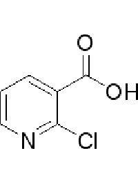 MC45589  2-氯烟酸  [2942-59-8]