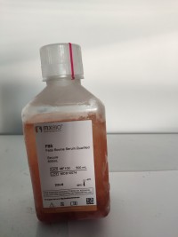 MF100 Fetal Bovine Serum 特级胎牛血清(无噬菌体低内毒素)
