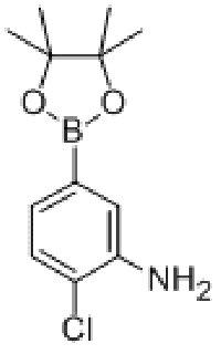 MC77066 3-AMINO-4-CHLOROPHENYLBORONIC ACID, PINACOL ESTER 850567-56-5 3-氨基-4-氯苯基硼酸频哪醇酯