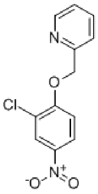 MC84006 2-[(2-Chloro-4-nitrophenoxy)methyl]pyridine 179687-79-7 2-[(2-氯-4-硝基苯氧基)甲基]吡啶