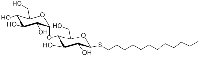 MC26131  十二烷基-β-D-硫代麦芽糖苷  [148565-58-6]