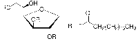 MC45306  司班65  [26658-19-5]