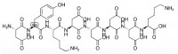 MC81180 DYKDDDDK Peptide 98849-88-8 FLAG Peptide
