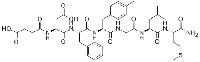 MC81857 SENKTIDE 106128-89-6 SUCCINYL-ASP-PHE-ME-PHE-GLY-LEU-MET-NH2