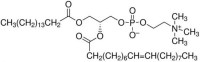 MCP278649 1-棕榈酰基-2-油酰基-sn-甘油-3-磷酸胆碱 [26853-31-6]