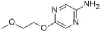 MC75634 5-(2-Methoxyethoxy)pyrazin-2-amine 710322-71-7 5-(2-甲氧基乙氧基)吡嗪-2-胺