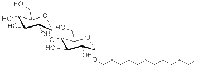 MC41202  正十二烷基-α-D-麦芽糖苷  [116183-64-3]