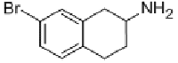 MC77823 7-BROMO-1,2,3,4-TETRAHYDRO-NAPHTHALEN-2-YLAMINE 885280-71-7 7-溴-1,2,3,4-四氢-2-萘胺