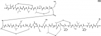 MCR132241 乳酸链球菌肽 来源于乳酸乳球菌 [1414-45-5]
