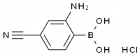 MC77070 2-Amino-4-Cyanophenylboronicacid,Hcl 850568-47-7 2-氨基-4-氰基苯基硼酸盐酸盐