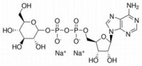 MC11188 5'-二磷酸葡萄糖腺苷二钠盐 93% [102129-65-7]