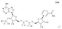 MC75279 Nadp Monopotassium Salt, ca 68141-45-7 腺嘌呤二核苷酸磷酸单钾盐二水合物, ca
