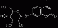 MC28508 4-甲基伞形酮酰-α-D-吡喃葡糖苷 [17833-43-1]