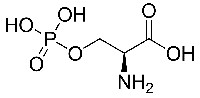 MC65316 O-Phospho-L-Serine 407-41-0 L-O-磷酸丝氨酸