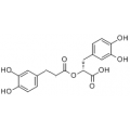 anti-HYAL1 antibody (Hyaluronidase-1) (N-Term)