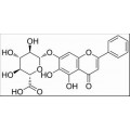 anti-HYAL1 antibody (Hyaluronidase-1) (N-Term)