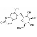 anti-HYAL1 antibody (Hyaluronidase-1) (N-Term)