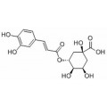 anti-HYAL1 antibody (Hyaluronidase-1) (N-Term)
