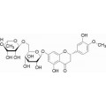anti-HYAL1 antibody (Hyaluronidase-1) (N-Term)