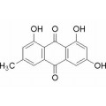 anti-HYAL1 antibody (Hyaluronidase-1) (N-Term)