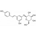 anti-HYAL1 antibody (Hyaluronidase-1) (N-Term)