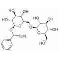 anti-HYAL1 antibody (Hyaluronidase-1) (N-Term)