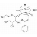 anti-HYAL1 antibody (Hyaluronidase-1) (N-Term)