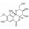 anti-HYAL1 antibody (Hyaluronidase-1) (N-Term)