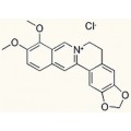 anti-HYAL1 antibody (Hyaluronidase-1) (N-Term)