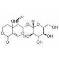 anti-HYAL1 antibody (Hyaluronidase-1) (N-Term)