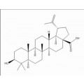 anti-HYAL1 antibody (Hyaluronidase-1) (N-Term)
