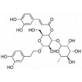 anti-HYAL1 antibody (Hyaluronidase-1) (N-Term)