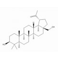 anti-HYAL1 antibody (Hyaluronidase-1) (N-Term)