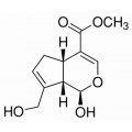 anti-HYAL1 antibody (Hyaluronidase-1) (N-Term)