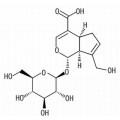 anti-HYAL1 antibody (Hyaluronidase-1) (N-Term)